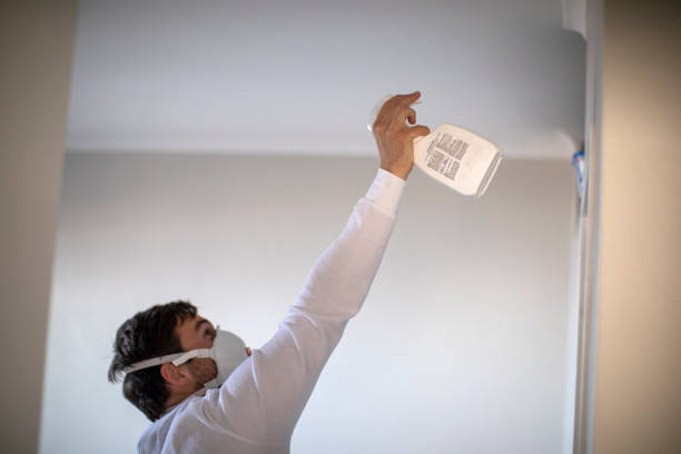 Best Residential Mold Remediation in Ben Wheeler, TX
