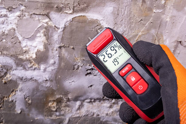  Ben Wheeler, TX Mold Removal Pros