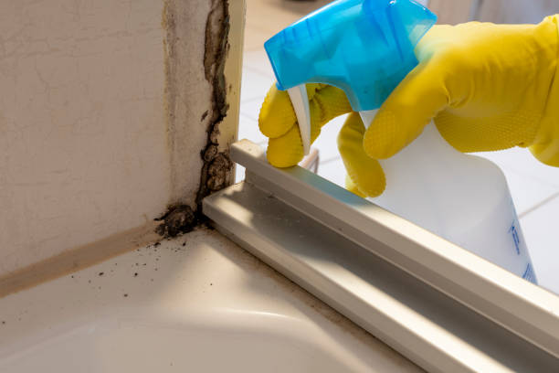 Best Post-Remediation Services in Ben Wheeler, TX
