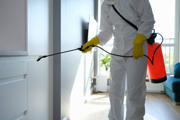 Best Commercial Mold Remediation in Ben Wheeler, TX