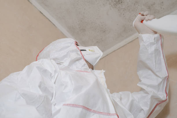 Best HVAC Mold Remediation in Ben Wheeler, TX