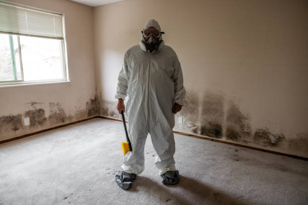 Best Crawl Space Mold Remediation in Ben Wheeler, TX